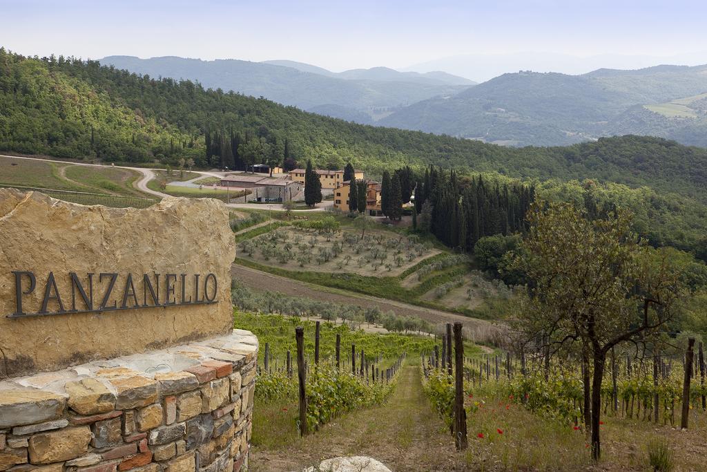 Agriturismo Panzanello Panzano in Chianti Extérieur photo